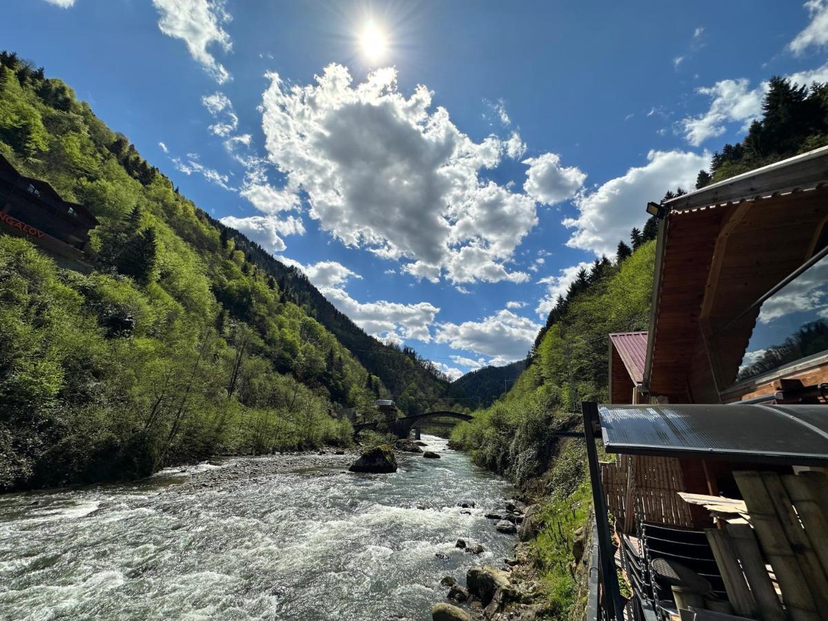 Tuva Villa Bungalov Çamlıhemşin Exteriör bild