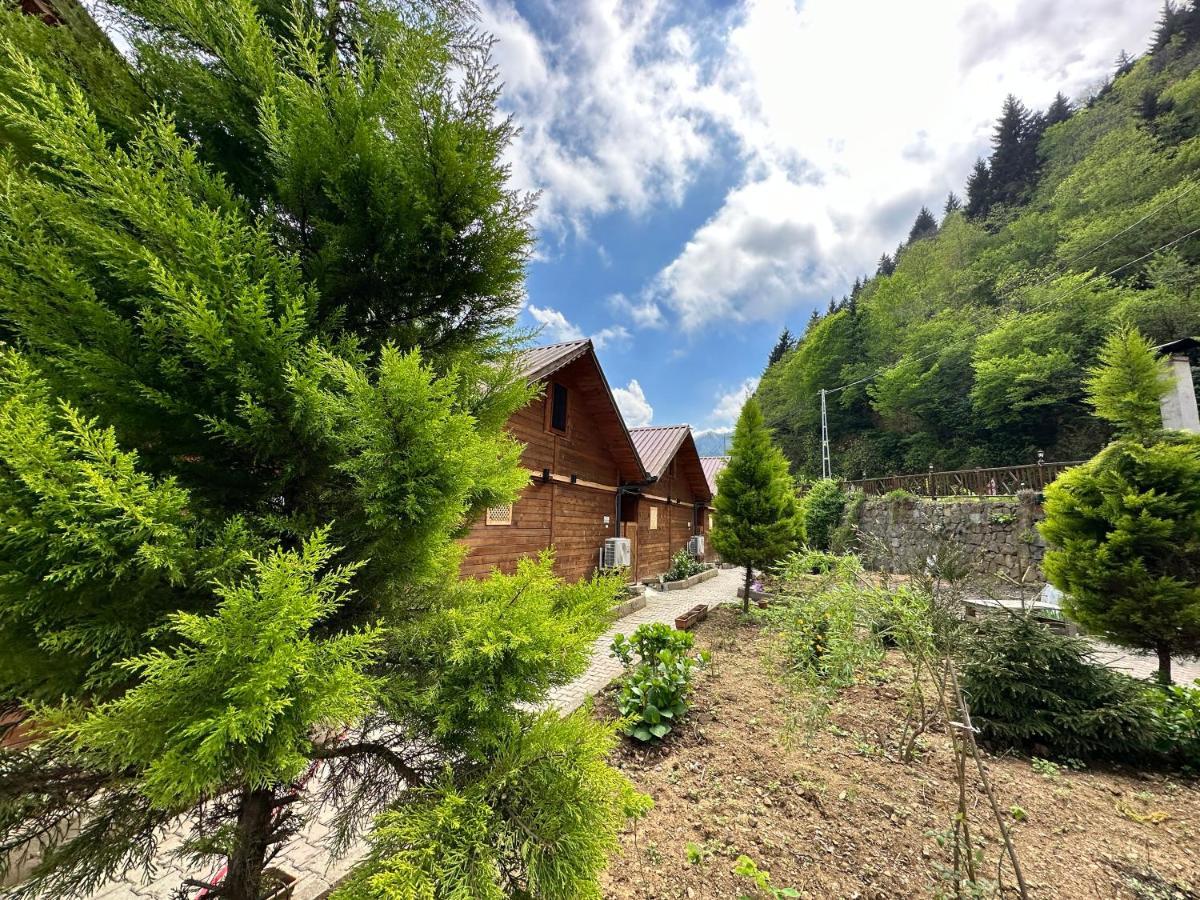 Tuva Villa Bungalov Çamlıhemşin Exteriör bild